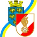NÖ LFV Logo 1 cm
